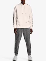 Heren hoodie Under Armour  Essential Heritage Flc HD-WHT