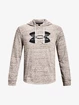 Heren hoodie Under Armour  Rival Terry Logo Hoodie-WHT