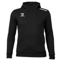 Heren hoodie Warrior Alpha X Aspire Hoody Black XXL