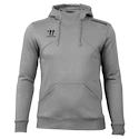 Heren hoodie Warrior Alpha X Aspire Hoody Gray