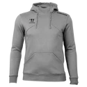 Heren hoodie Warrior Alpha X Aspire Hoody Gray M