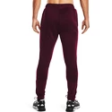 Heren joggingbroek Under Armour  Terry Pant Red