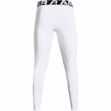 Heren legging Under Armour  ColdGear Armour Leggings White