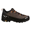 Heren outdoorschoenen Salewa  Alp Trainer 2 Bungee Cord/Black  UK 9,5