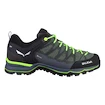 Heren outdoorschoenen Salewa  MS MTN Trainer Lite Gtx Myrtle/Ombre Blue