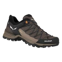 Heren outdoorschoenen Salewa  MS MTN Trainer Lite Gtx  Wallnut/Fluo Orange