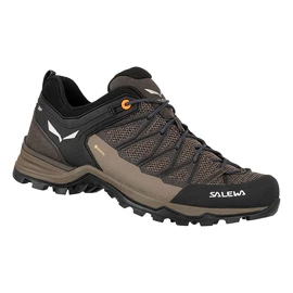 Heren outdoorschoenen Salewa MTN Trainer Lite GTX