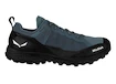 Heren outdoorschoenen Salewa  Pedroc PTX M Java Blue/Black