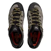 Heren outdoorschoenen Salewa  Wildfire 2 Gtx M Bungee Cord/Black