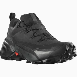 Heren outdoorschoenen Salomon  CROSS HIKE GTX 2