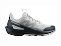 Heren outdoorschoenen Salomon  ELIXIR ACTIV Glacier Gray/Carbon/Slate Green  UK 11,5