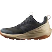 Heren outdoorschoenen Salomon Elixir Activ Gore-Tex Phantom/Safari/Caramel Cafe