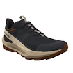 Heren outdoorschoenen Salomon Elixir Activ Gore-Tex Phantom/Safari/Caramel Cafe