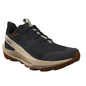 Heren outdoorschoenen Salomon Elixir Activ Gore-Tex Phantom/Safari/Caramel Cafe