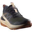 Heren outdoorschoenen Salomon Elixir Activ Gore-Tex Phantom/Safari/Caramel Cafe