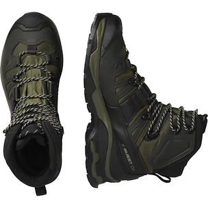 Heren outdoorschoenen Salomon Quest 4 Gore-Tex Olive Night/Peat/Safari  UK 8,5