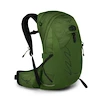 Heren rugzak OSPREY TALON 22 green belt/black