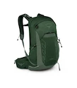 Heren rugzak OSPREY TALON 22 green canopy/pine leaf