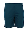 Heren short FZ Forza  Landos M Shorts Poseidon