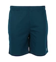 Heren short FZ Forza  Landos M Shorts Poseidon