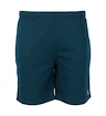 Heren short FZ Forza  Landos M Shorts Poseidon L