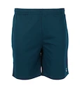 Heren short FZ Forza  Landos M Shorts Poseidon L