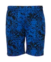 Heren short FZ Forza  Luton M Shorts Olympian Blue