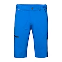 Heren short Mammut  Runbold Shorts Ice 50