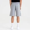 Heren short New Era  Colour Block Short NBA Boston Celtics