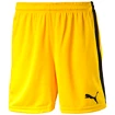 Heren short Puma  Pitch