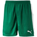 Heren short Puma  Pitch