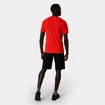 Heren short Salewa  Pedroc 3 DST M Cargo Shorts