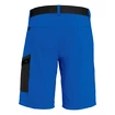 Heren short Salewa  Pedroc Cargo 2 Dst Electric