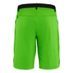 Heren short Salewa  Puez 3 Dst Pale Frog