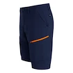 Heren short Salewa  Puez DST M Cargo Shorts Navy Blazer