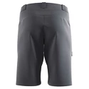 Heren short Salomon  Wayfarer Shorts Ebony