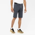 Heren short Salomon  Wayfarer Shorts Ebony