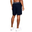 Heren short Under Armour