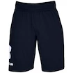 Heren short Under Armour  COTTON BIG LOGO SHORTS blue