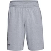 Heren short Under Armour  COTTON BIG LOGO SHORTS gray