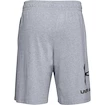 Heren short Under Armour  COTTON BIG LOGO SHORTS gray