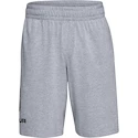 Heren short Under Armour  COTTON BIG LOGO SHORTS gray