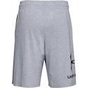 Heren short Under Armour  COTTON BIG LOGO SHORTS gray