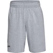 Heren short Under Armour  COTTON BIG LOGO SHORTS gray XXL