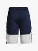 Heren short Under Armour  Raid 2.0 Shorts-NVY