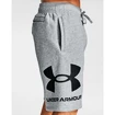 Heren short Under Armour  Rival FLC Big Logo Shorts gray