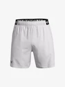 Heren short Under Armour  Vanish Woven 6in Shorts-GRY