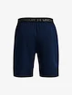 Heren short Under Armour  Vanish Woven 8in Shorts-NVY