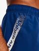 Heren short Under Armour  Woven Graphic Shorts-BLU