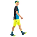 Heren T-shirt Dynafit  Traverse Reef Melange